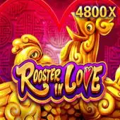 rikvip1 net